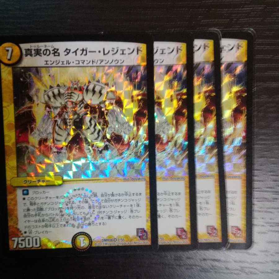 真実の名 タイガー・レジェンド