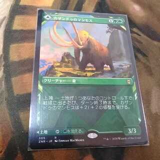 カザンドゥのマンモス★ショーケース★日１枚★数量２まで★ゼンディカーの夜明け