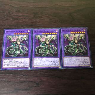 捕食植物ドラゴスタペリア　3枚