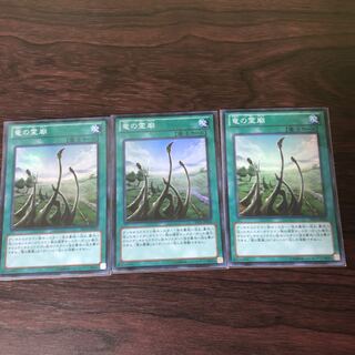 竜の霊廟 スーパーレア　3枚