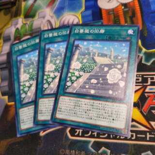 遊戯王　白薔薇の回廊