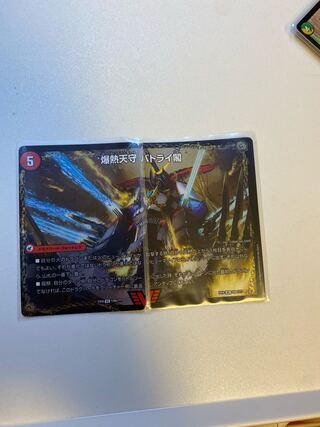 バトライ閣 二枚セット