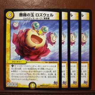 old3376セット割引　薔薇の玉 ロズウェル