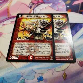 楯神の賢者レオルド