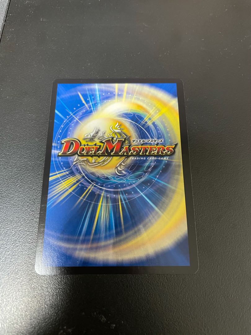 「絶対の楯騎士」