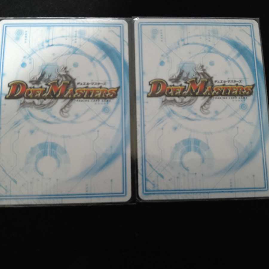 鋼ド級 ダテンクウェールB SR×2