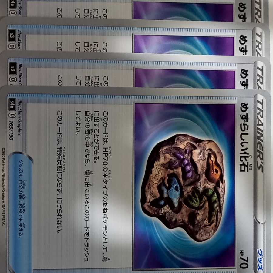 めずらしい化石 C