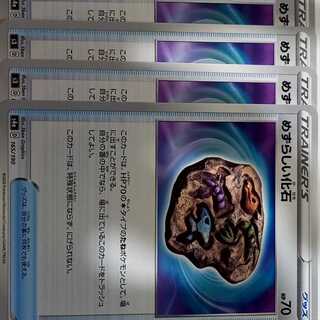 めずらしい化石 C