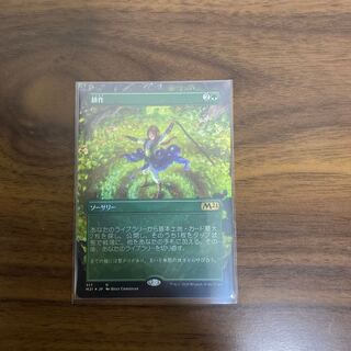 Cultivate extended foil Japanese version