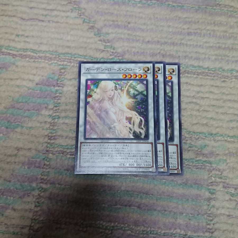 ガーデン・ローズ・フローラ3枚