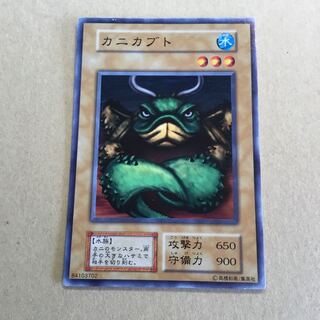 初期　カニカブト