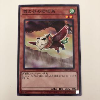 遊戯王 霞の谷の幼怪鳥