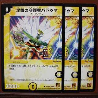 old3518 set discount Paduma, Guardian of Nirvana