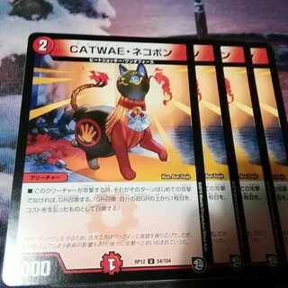 CATWAE・ネコボン ４枚 アカマル