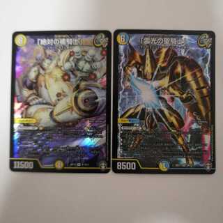 「雷光の聖騎士」　「絶対の楯騎士」