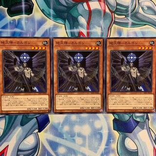 【N】地久神-カルボン 3枚 LIOV-JP028