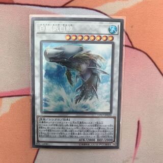 白闘気白鯨 コレクターズレア