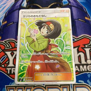 Erika's Hospitality SR 107/095