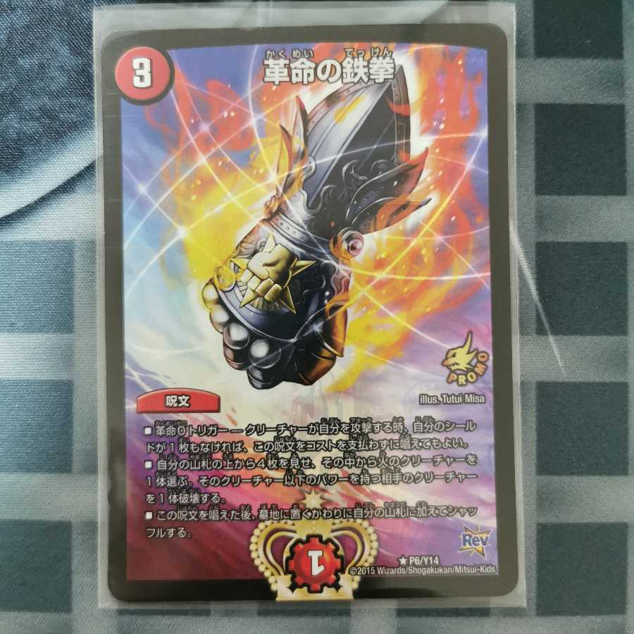 Iron Fist of Restructer Revolution