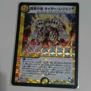 真実の名 タイガー・レジェンド