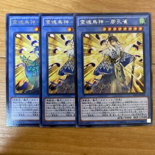 霊魂鳥神-彦孔雀 レア