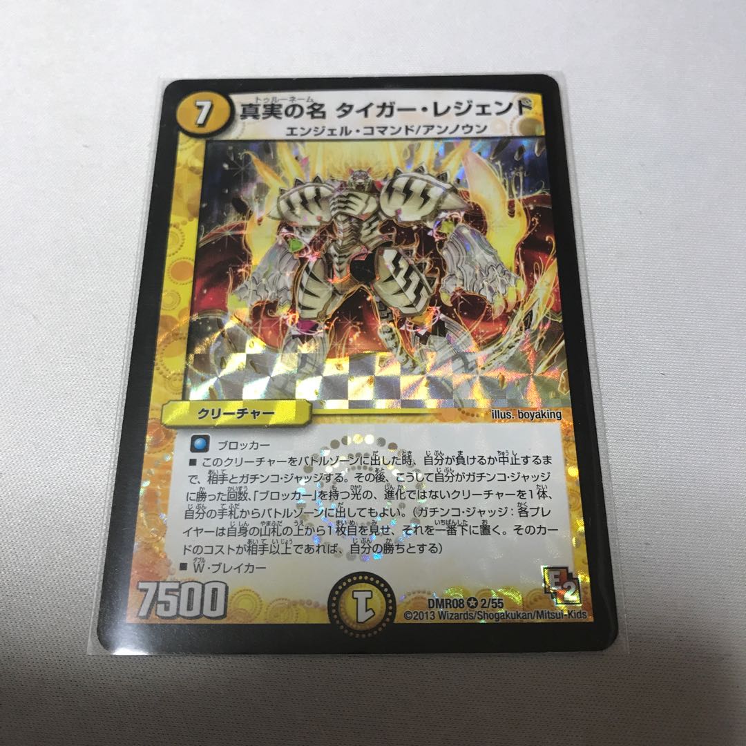 真実の名 タイガー・レジェンド