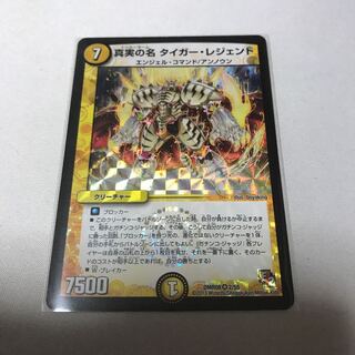 真実の名 タイガー・レジェンド