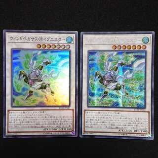 亜シク ウィンドペガサス@イグニスター　アジアシークレット