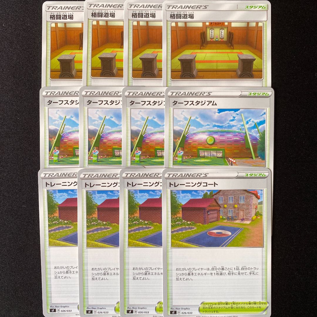 格闘道場 ターフスタジアム トレーニングコート 12枚 トレーナーボックスver