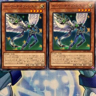 【N】ホーリーナイツ・シエル 2枚 LIOV-JP019