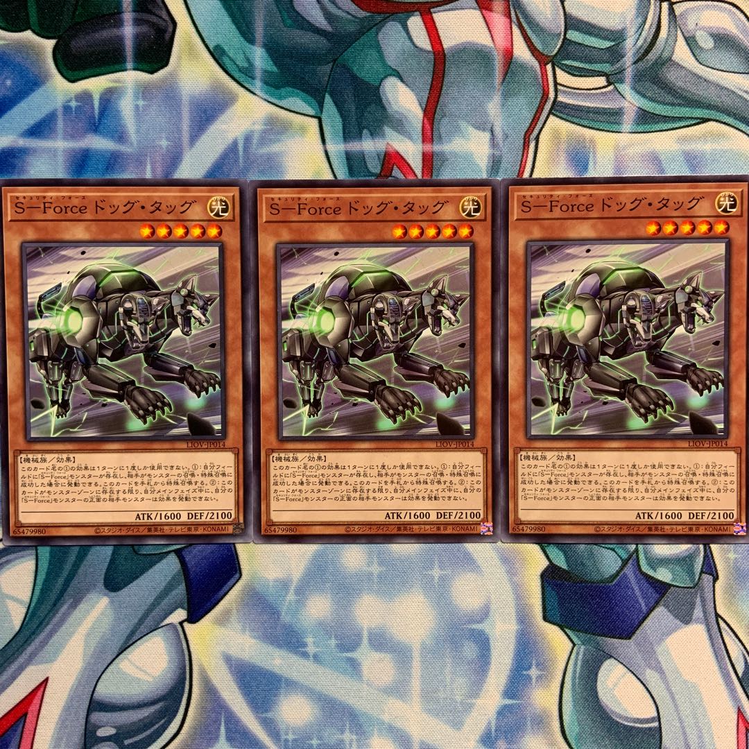 【N】S-Force ドッグ・タッグ 3枚 LIOV-JP014