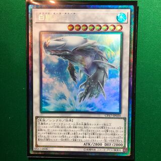 遊戯王　白闘気白鯨 コレクターズレア　1枚