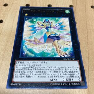 LL-アセンブリー・ナイチンゲール レア