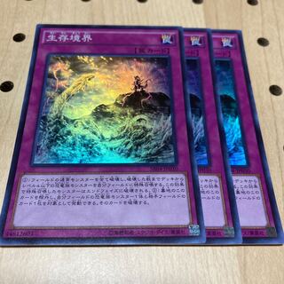 生存境界 スーパーレア 3枚