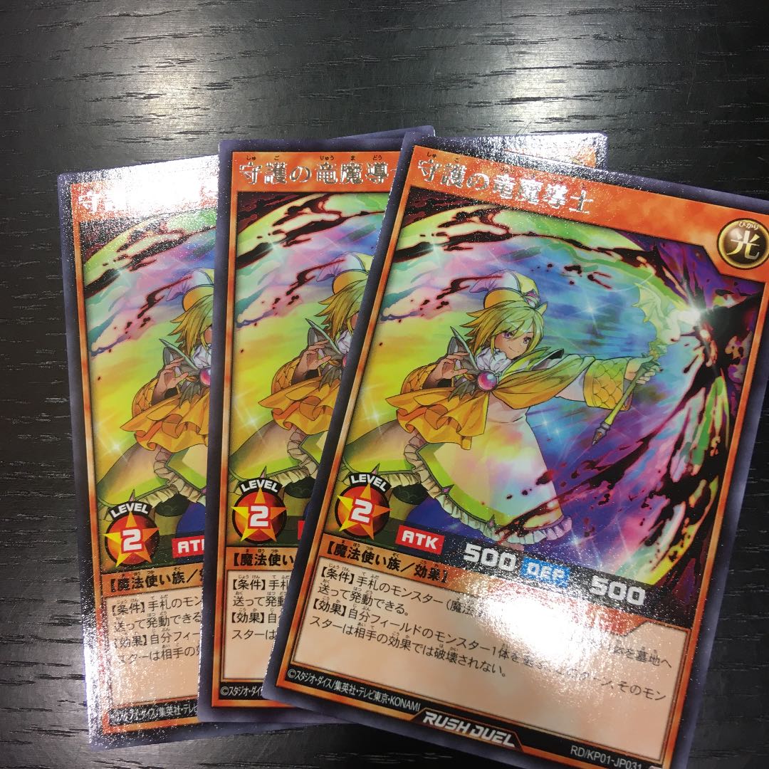 守護の竜魔道士×3枚