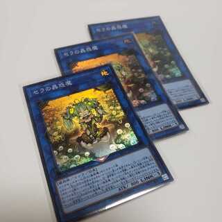 セラの蟲惑魔 スーパーレア ３枚セット