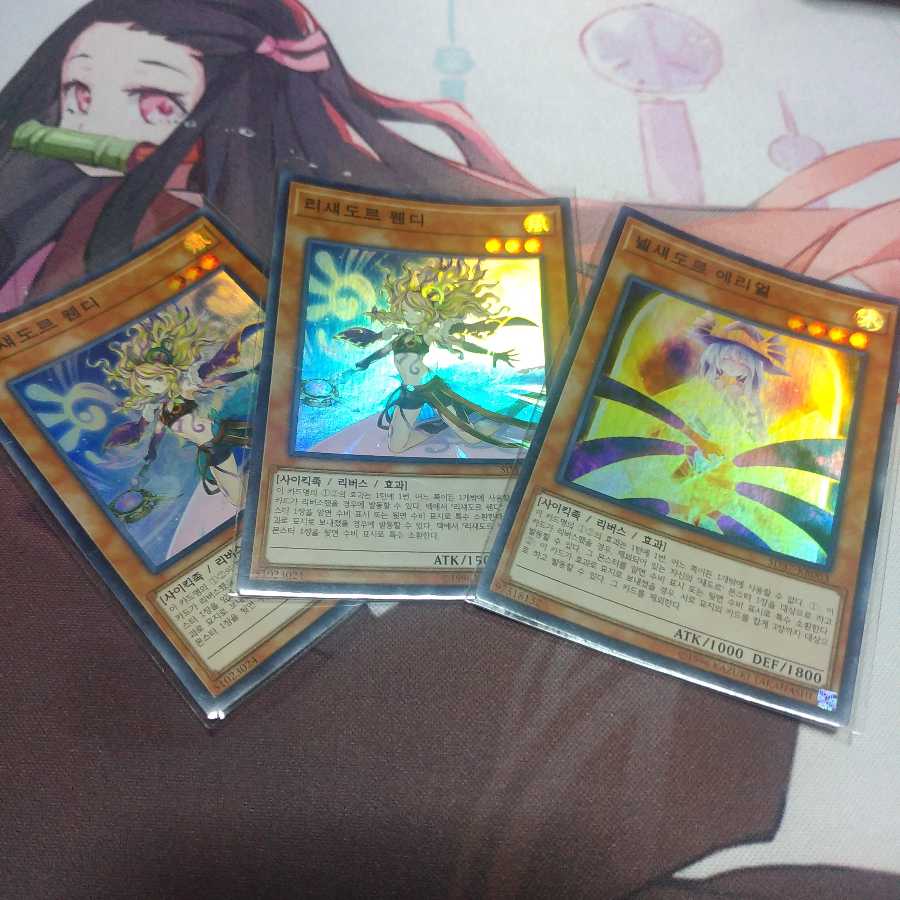 あちゃもさん購入