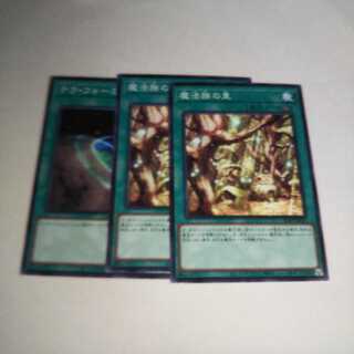 魔法族の里 2枚 テラ・フォーミング 1枚