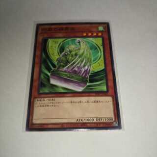 烈風の結界像 ノーマル