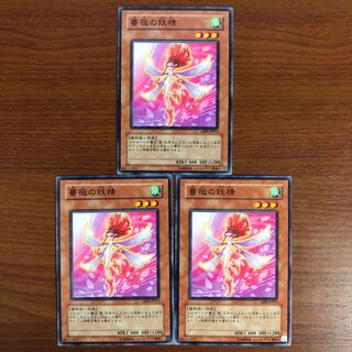 薔薇の妖精 N 3枚セット