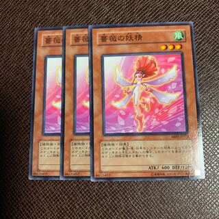 薔薇の妖精 ノーマル