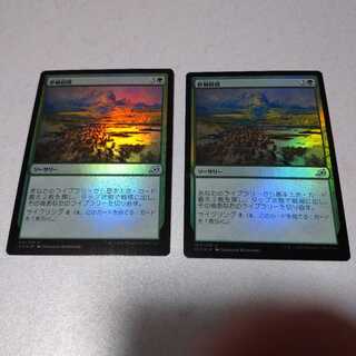 移動経路 foil 2枚