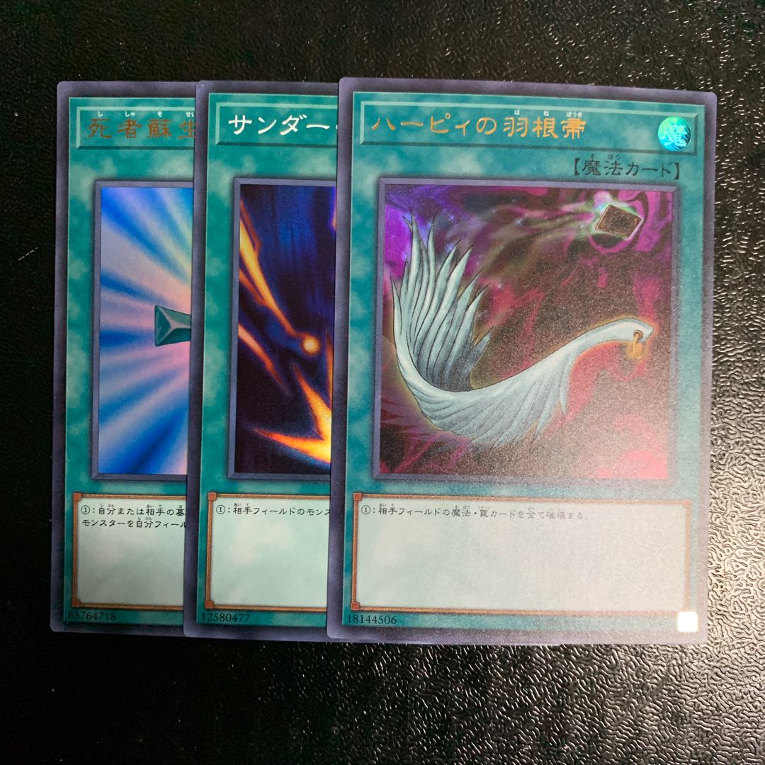 ハーピィの羽根帚 死者蘇生 サンダー・ボルト