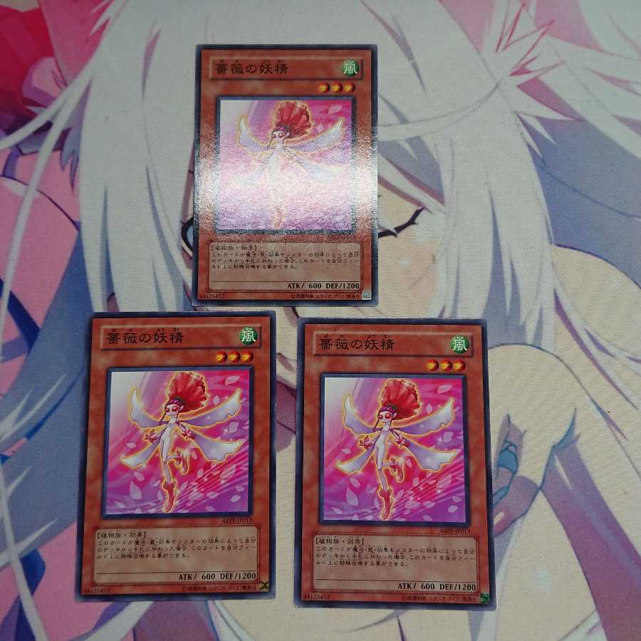 薔薇の妖精 ノーマル