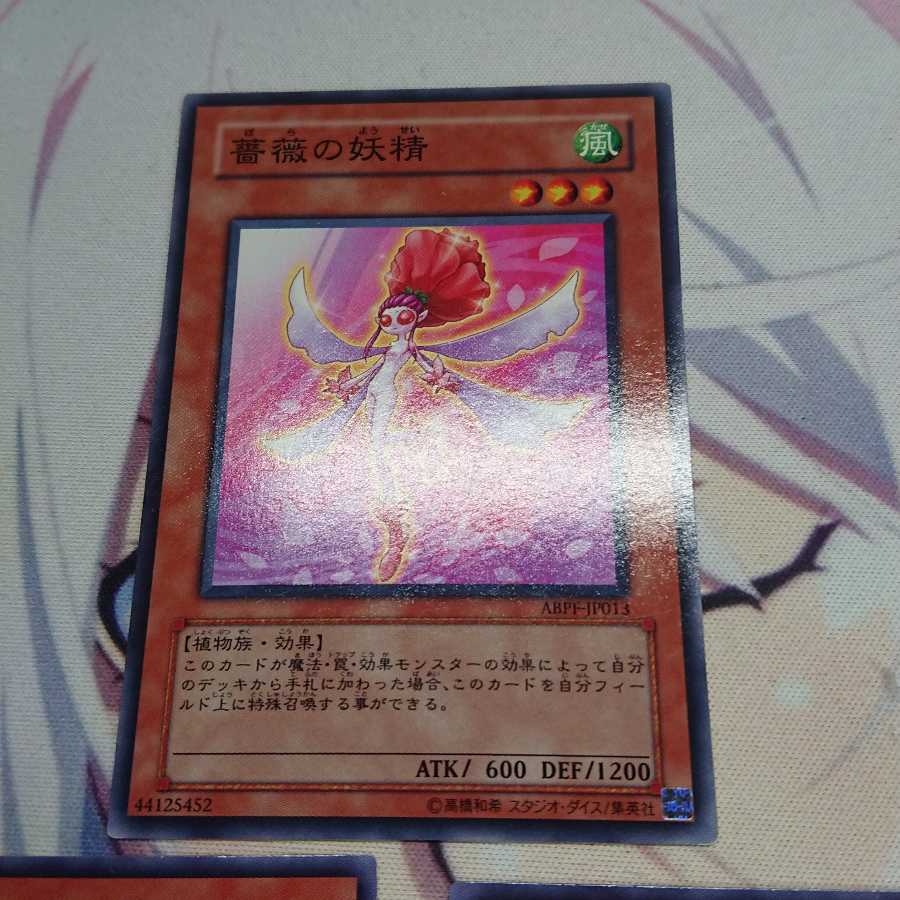 薔薇の妖精 ノーマル