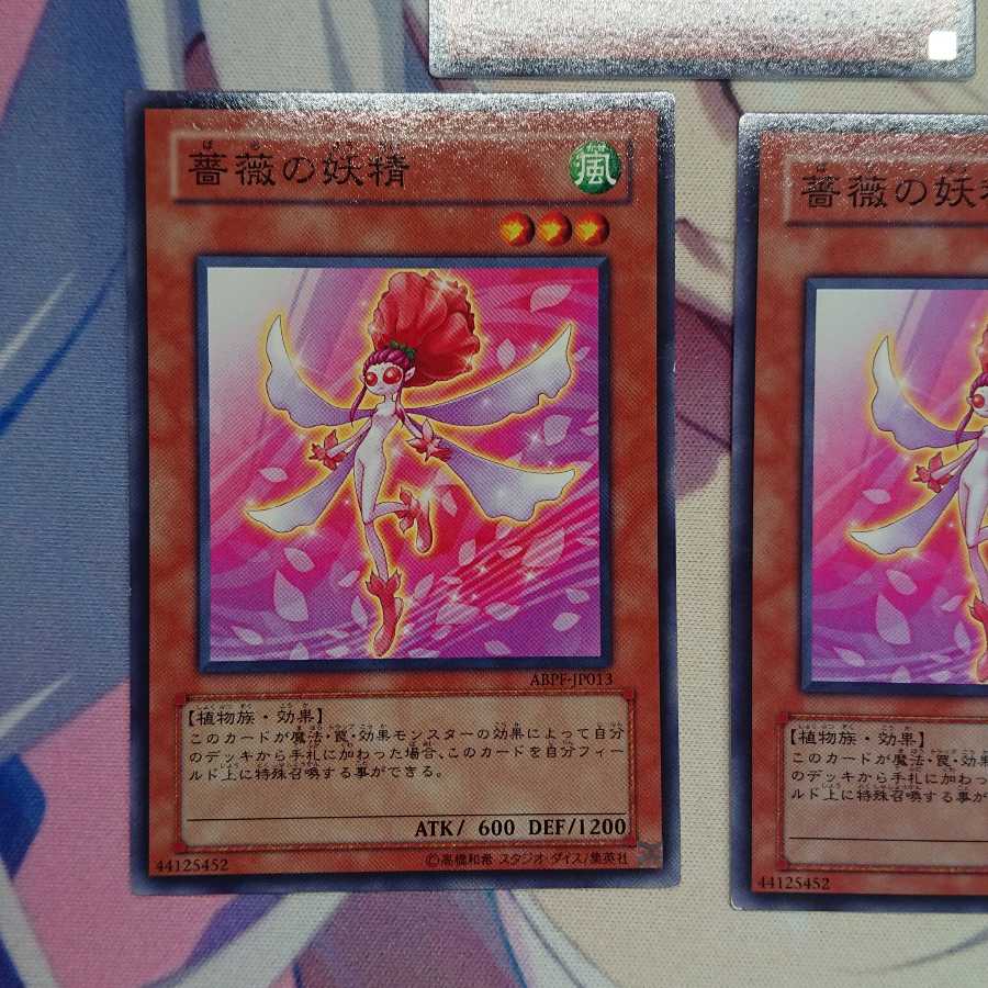 薔薇の妖精 ノーマル