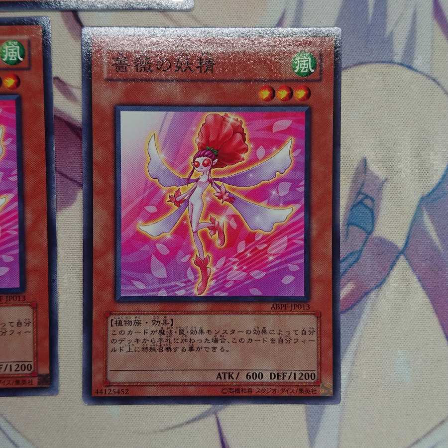 薔薇の妖精 ノーマル