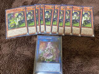 ジーナの蟲惑魔とクラリアの蟲惑魔