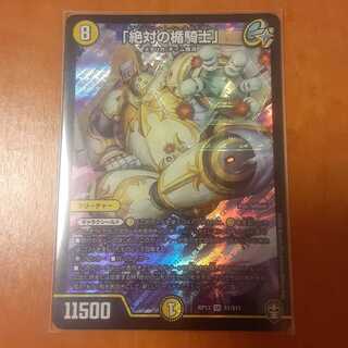 「絶対の楯騎士」