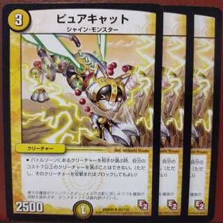 old3807セット割引　ピュアキャット